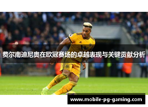 费尔南迪尼奥在欧冠赛场的卓越表现与关键贡献分析