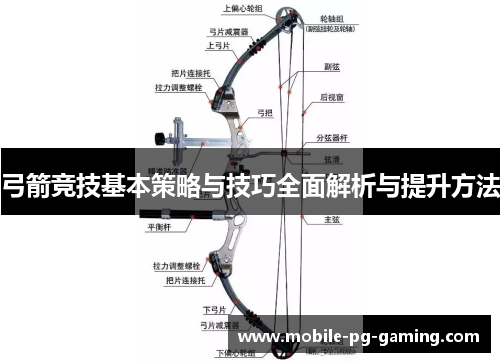 弓箭竞技基本策略与技巧全面解析与提升方法