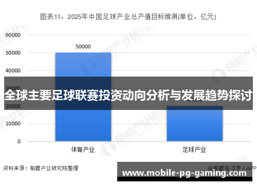 全球主要足球联赛投资动向分析与发展趋势探讨