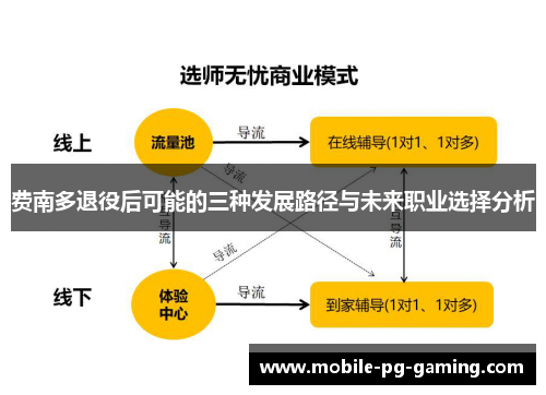费南多退役后可能的三种发展路径与未来职业选择分析