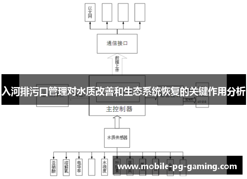 入河排污口管理对水质改善和生态系统恢复的关键作用分析