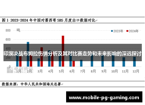 印澳决战布姆拉伤情分析及其对比赛走势和未来影响的深远探讨