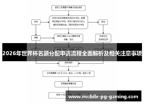 2026年世界杯名额分配申请流程全面解析及相关注意事项
