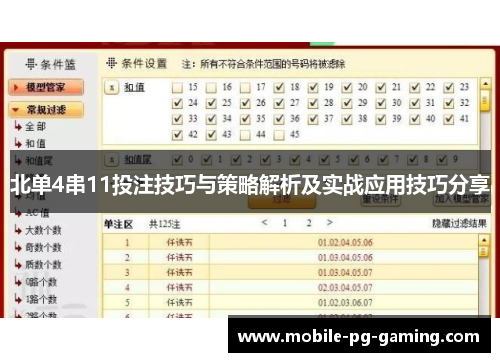 北单4串11投注技巧与策略解析及实战应用技巧分享