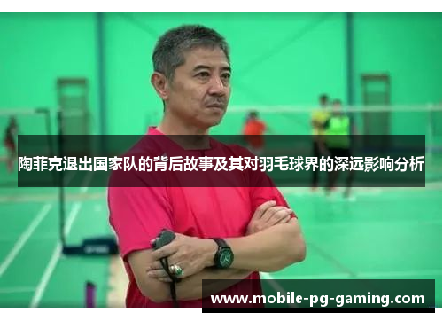 陶菲克退出国家队的背后故事及其对羽毛球界的深远影响分析